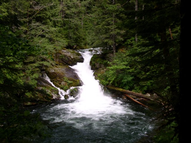 5.29.06 Siouxon Creek 024 